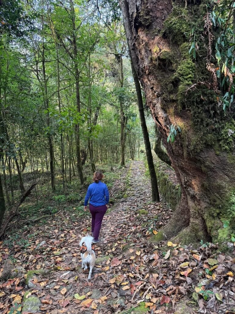 whatsapp image 2026 03 09 at 5.12.50 pm